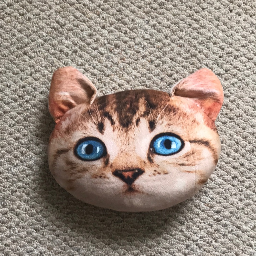 Cat Pillow